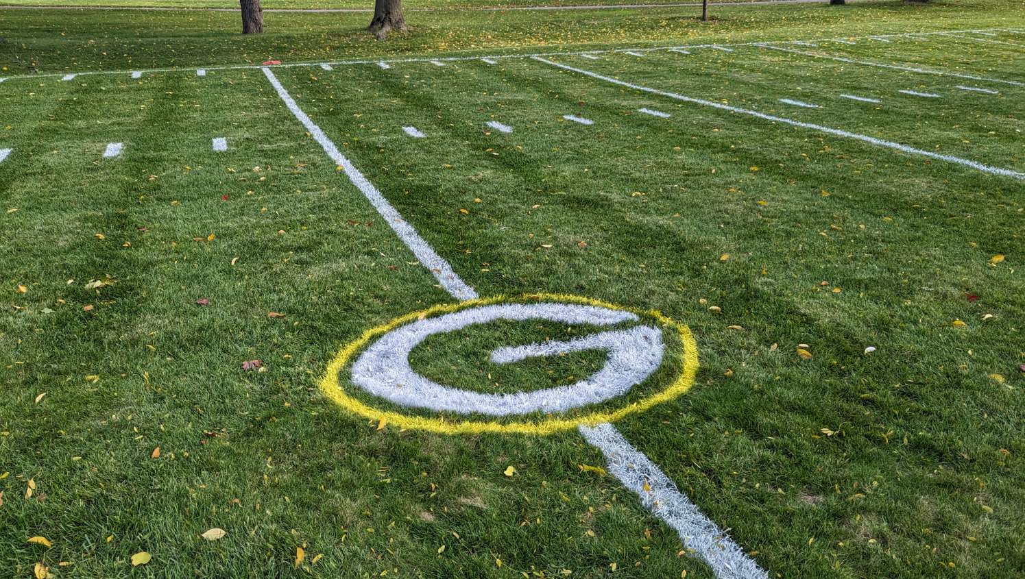 football field marking in elgin, il