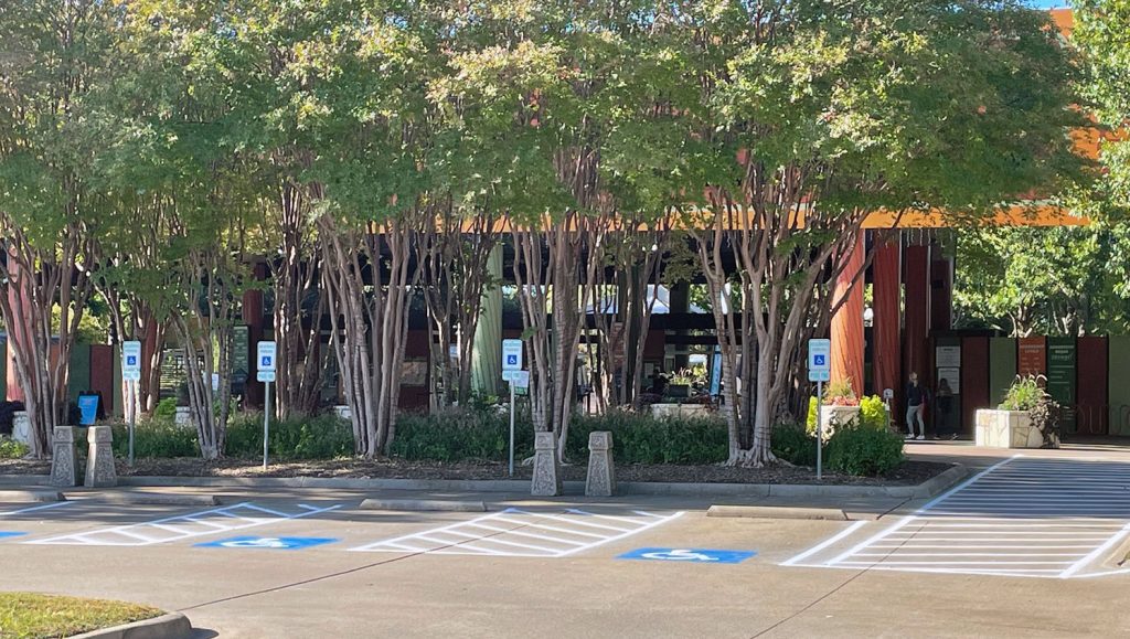 new pedestrian walkway markings for the dallas zoo