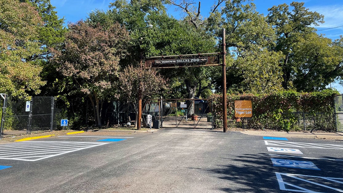 Dallas Zoo Parking Lot Striping Project