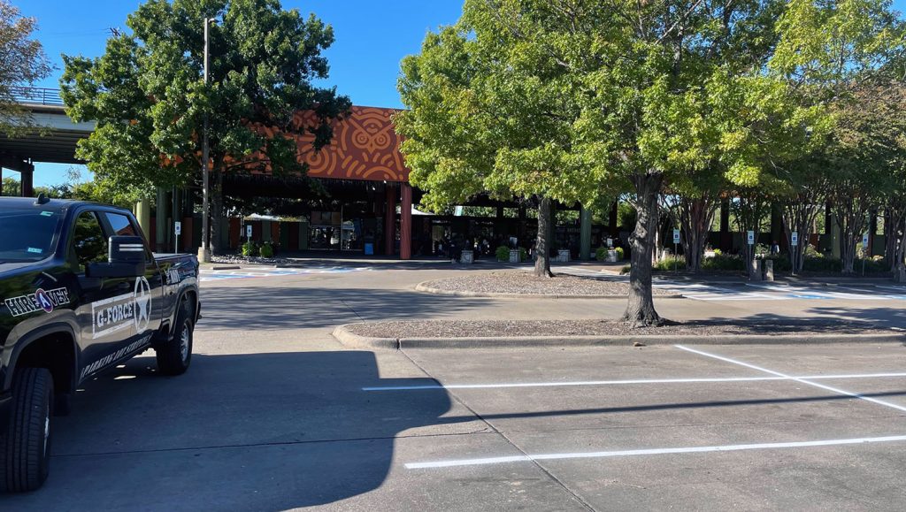 new ada stall striping for the dallas zoo
