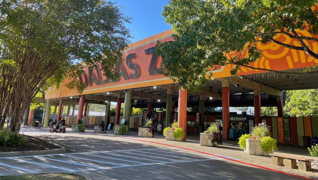 new parking lot markings for the dallas zoo