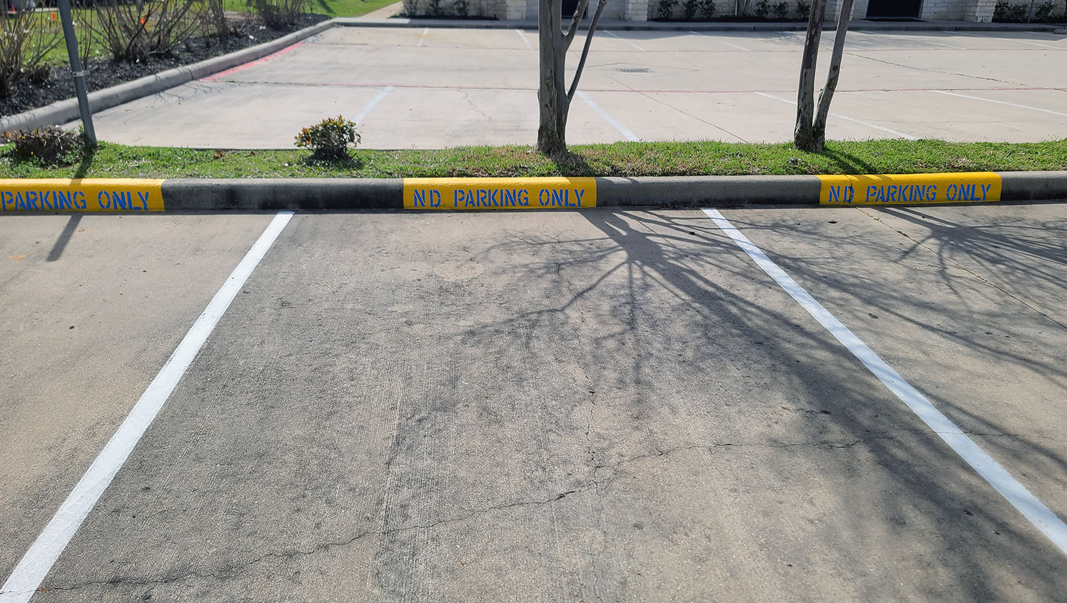 newly striped parking stalls