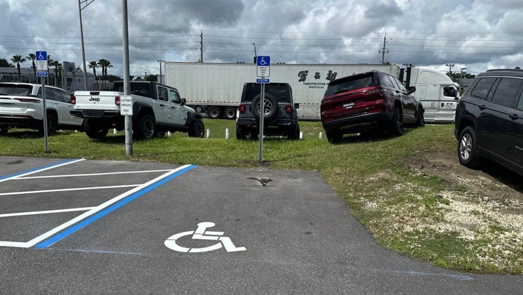 ada compliance parking spots for DARCARS Dealership parking lot