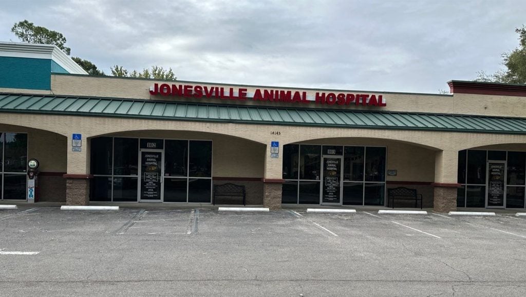 close-up of Jonesville Animal Hospital with new parking stops installed