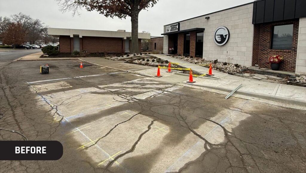 faded line markings on Phoenix Veterinary Surgical Clinic parking lot before portrait
