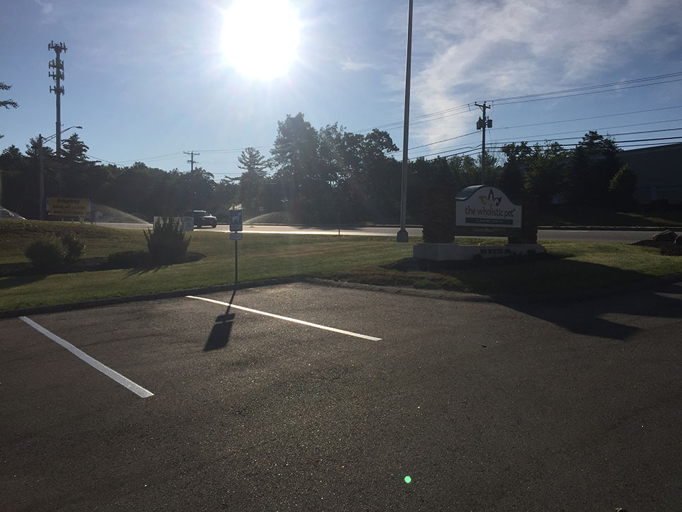 Bedford Pet Store ReStriping Project GFORCE™ New Hampshire