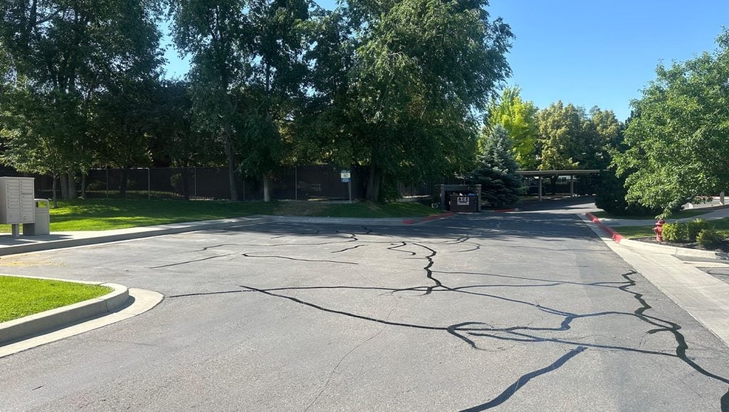 close-up of freshly painted parking spots