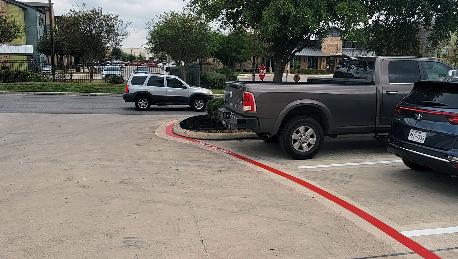 newly striped parking lot markings