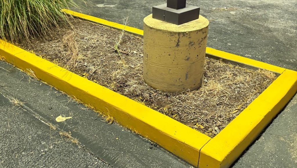 close-up of curb freshly painted for Rion Equipment parking lot