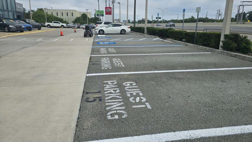 freshly painted line markings for a business in tampa, florida