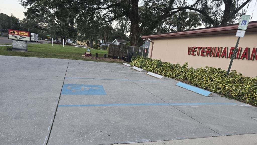 close-up of freshly painted parking spots for Veterinarian Clinic