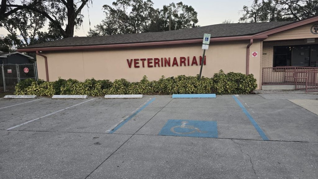 parking spots freshly painted