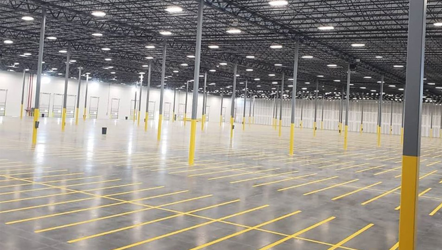 tampa warehouse striped by g-force