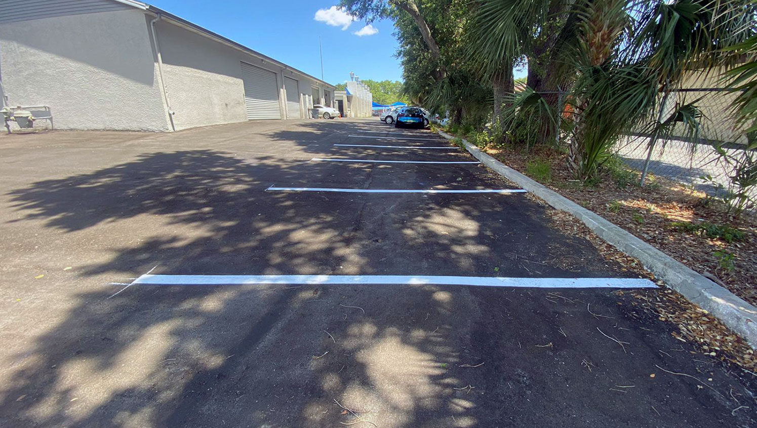 freshly painted parking lot spaces striped for a car wash in Clearwater, FL