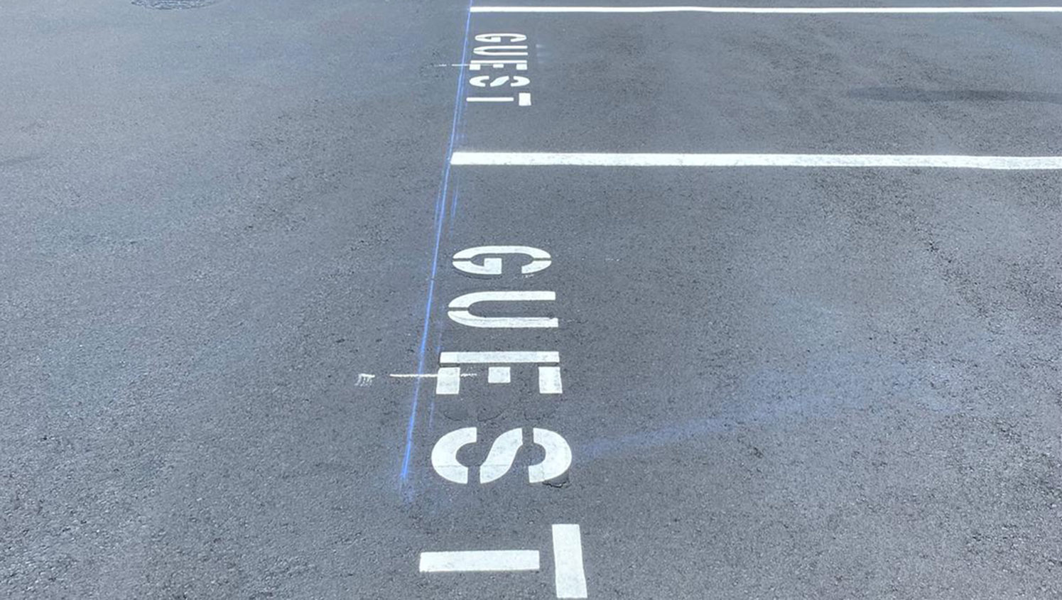 guest parking space re-striping layout in Tampa, FL