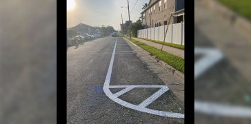 Image of Line Striping in Hyde Park Tampa
