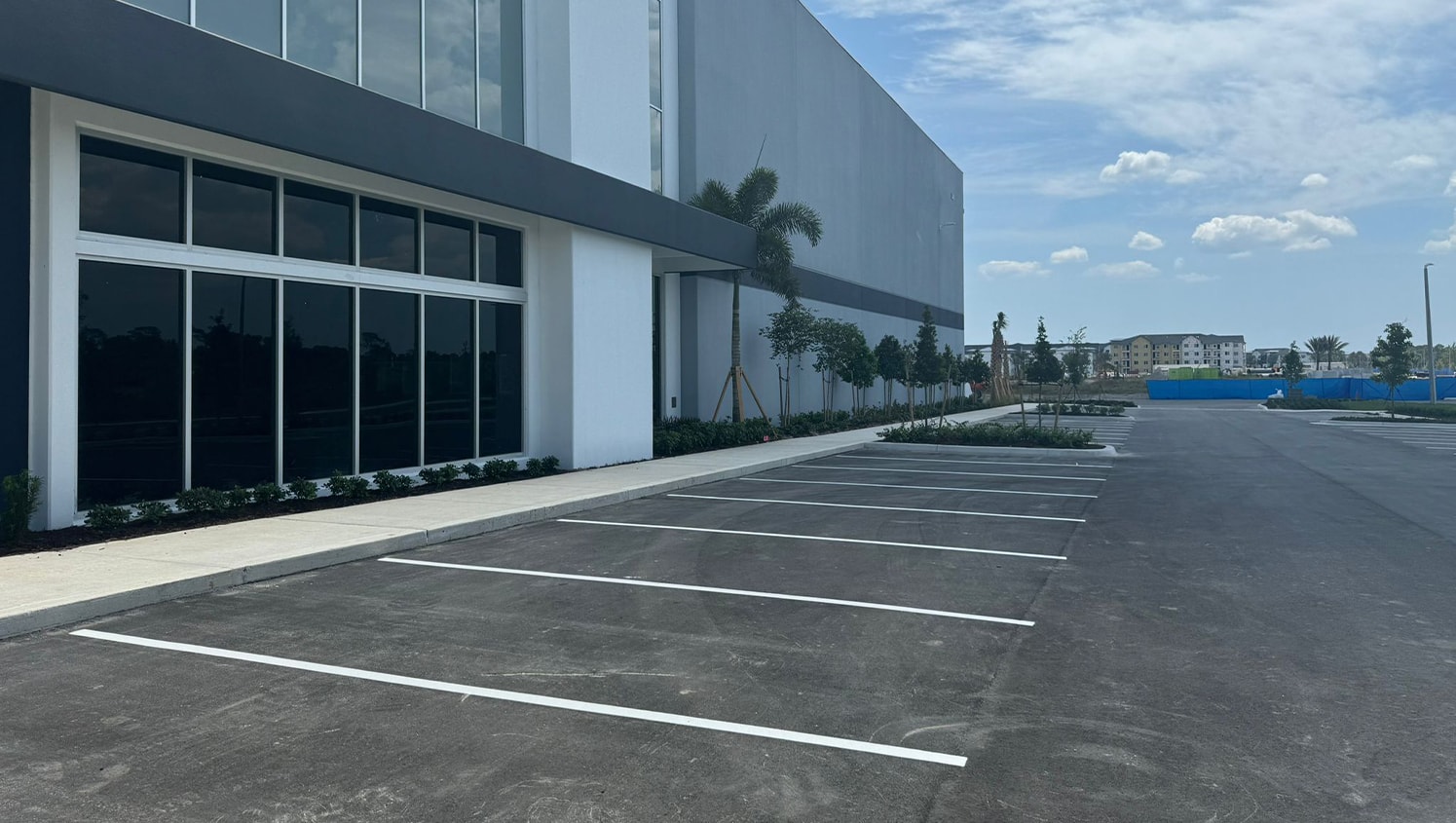 close-up of freshly painted parking lot lines for business